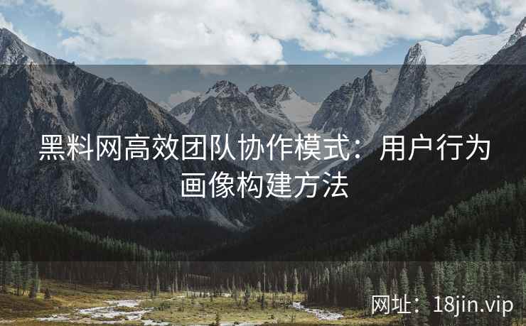黑料网高效团队协作模式：用户行为画像构建方法