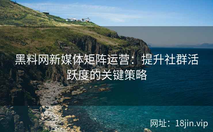 黑料网新媒体矩阵运营：提升社群活跃度的关键策略