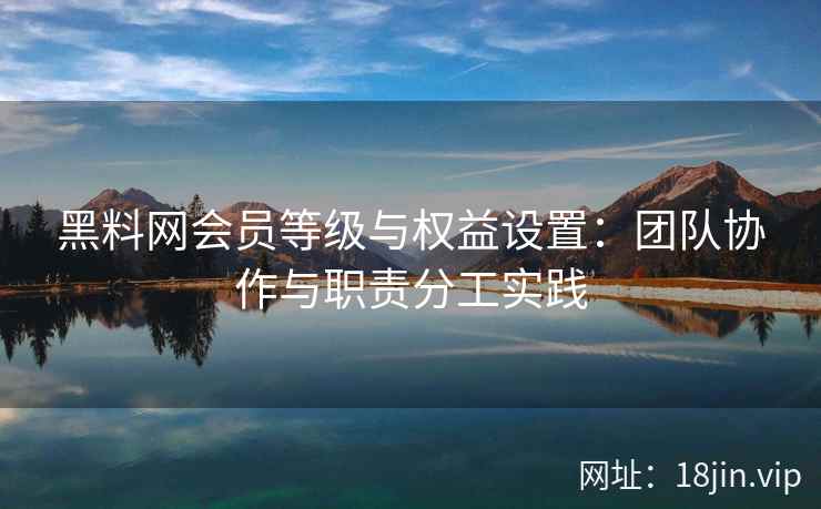黑料网会员等级与权益设置：团队协作与职责分工实践